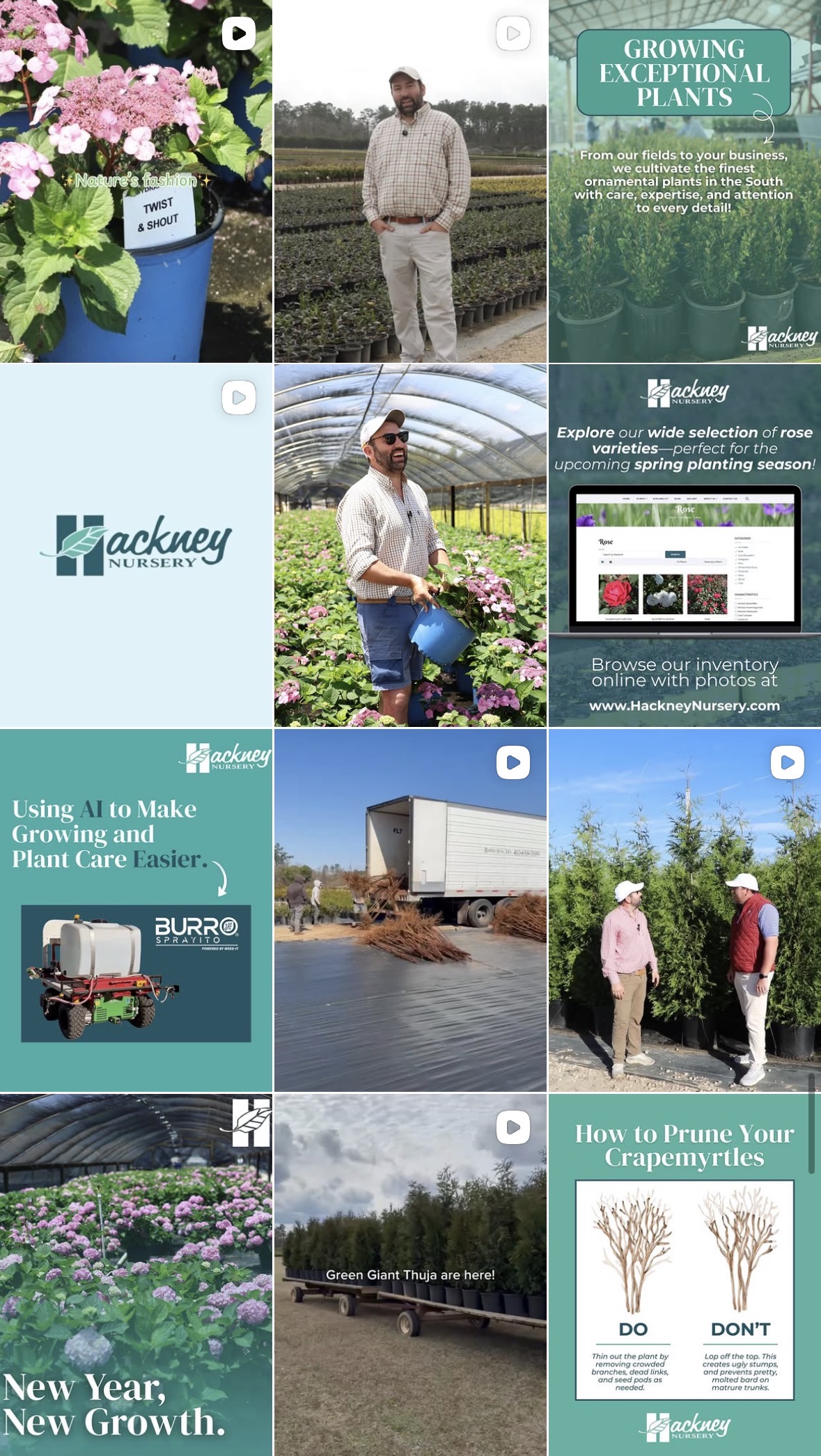 @hackney_nursery Instagram feed